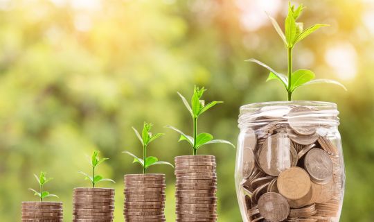 Money and Will: The Must-Haves for Sustainable Investment and Recovery