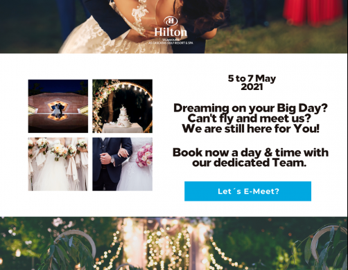  newsletter virtual wedding