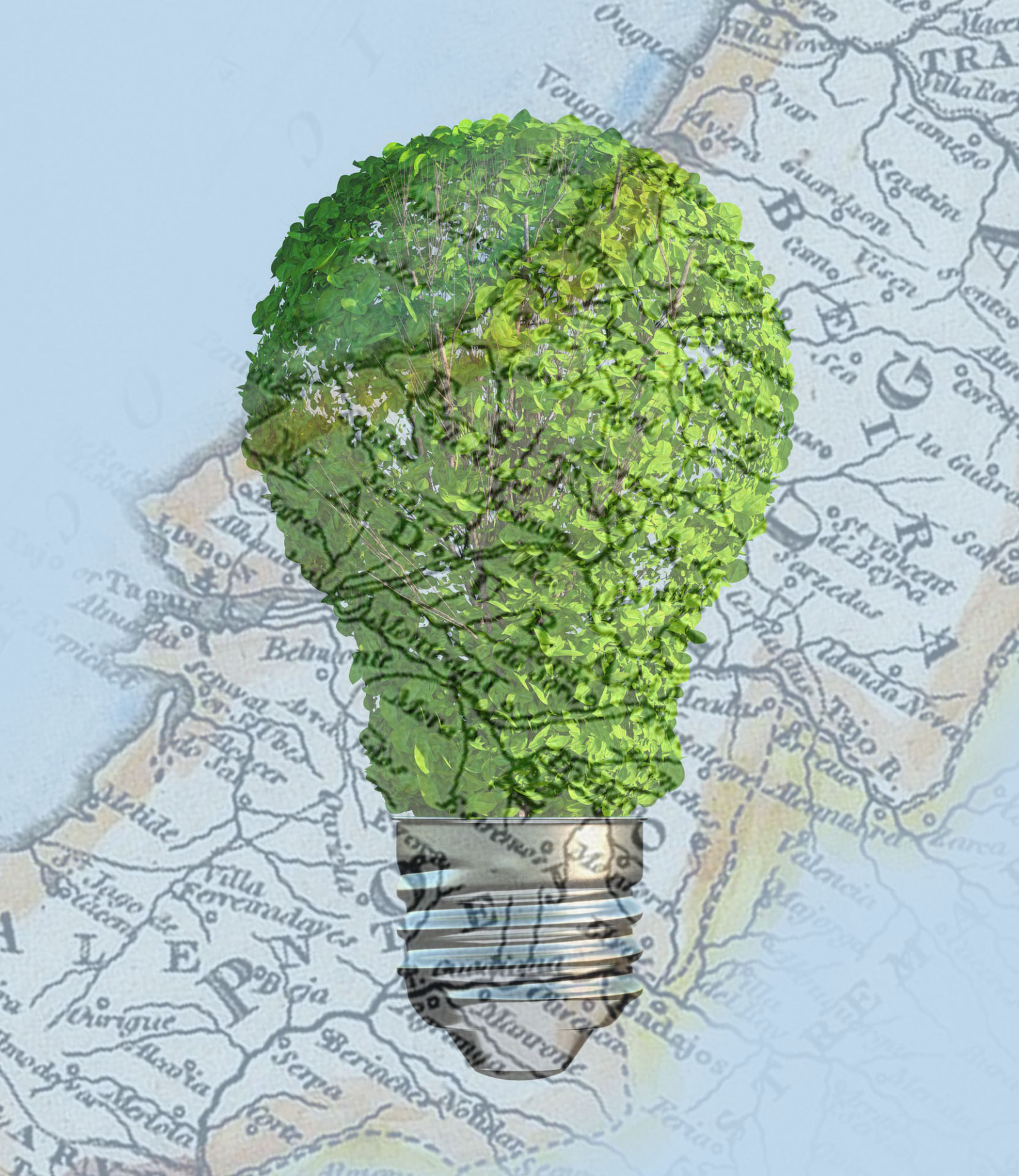 The Future of Sustainability in Five Major Portuguese Municipalities
