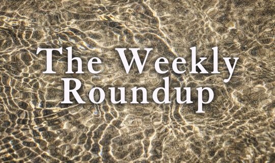 The Weekly Roundup July 13 - 17