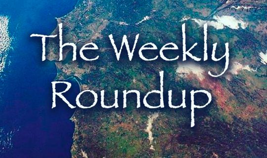 The Weekly Roundup April 24 - 28