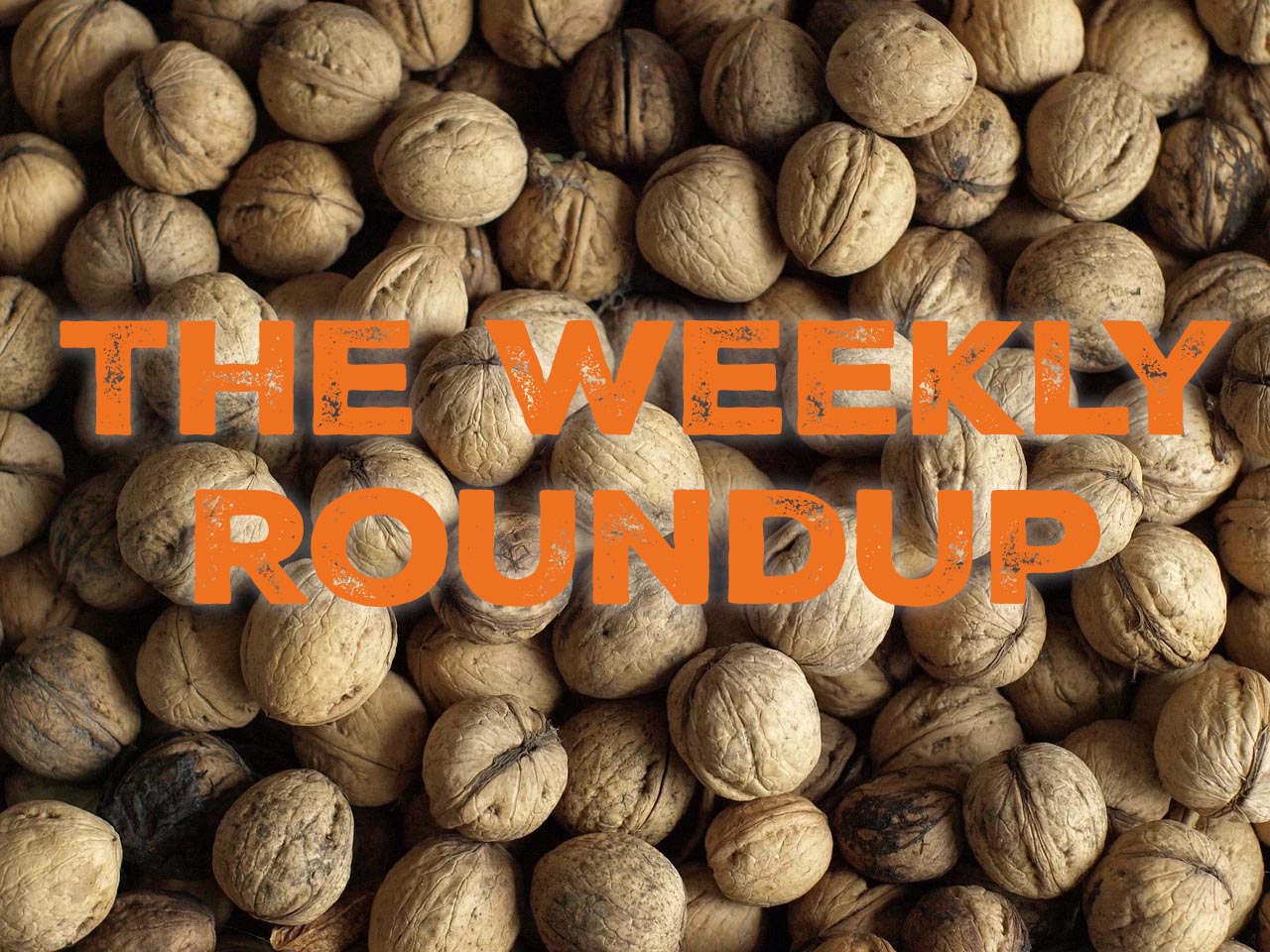 The Weekly Roundup September 22 - 26