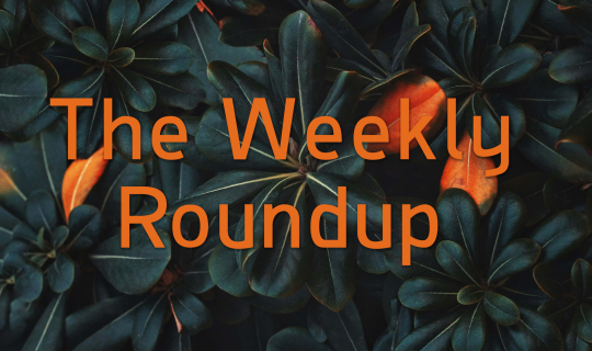 The Weekly Roundup February 12 - 16