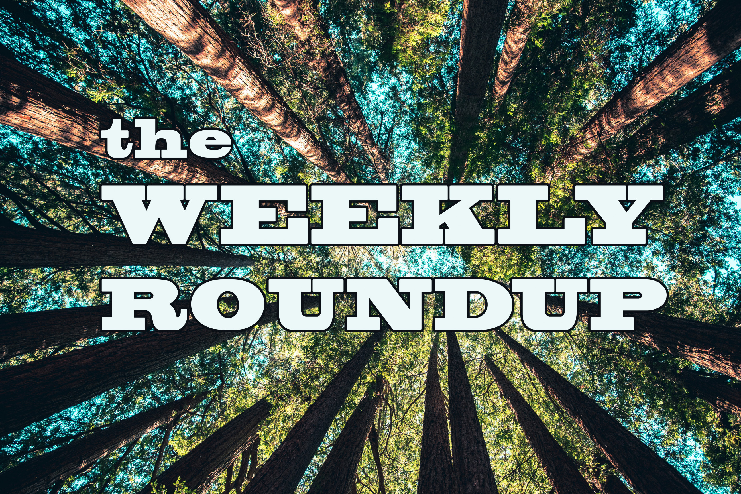 The Weekly Roundup November 1 - 5
