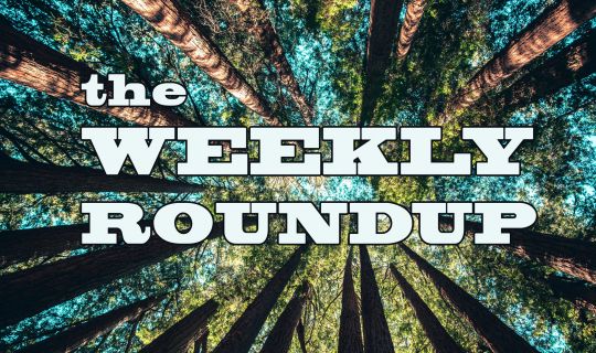 The Weekly Roundup November 1 - 5