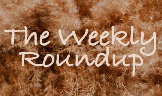 The Weekly Roundup July 3 - 7