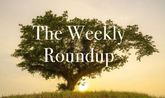 The Weekly Roundup May 2 - 5