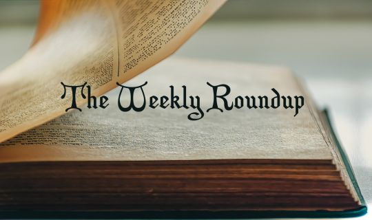 The Weekly Roundup November 15 - 19