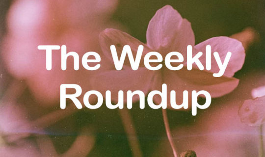 The Weekly Roundup: January 5 - 9