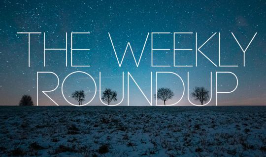 The Weekly Roundup: February 20 - 24