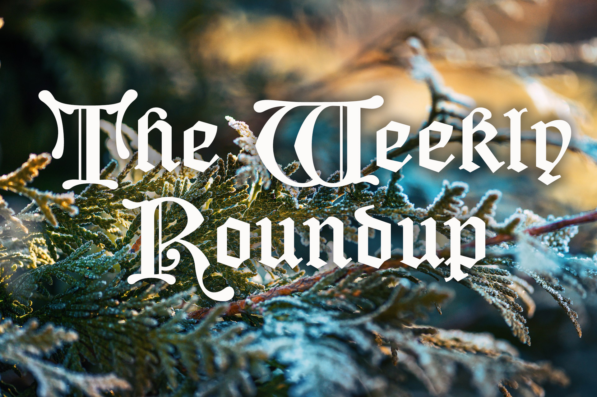 The Weekly Roundup Dec 5 - 9