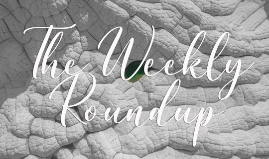 The Weekly Roundup September 11 - 15