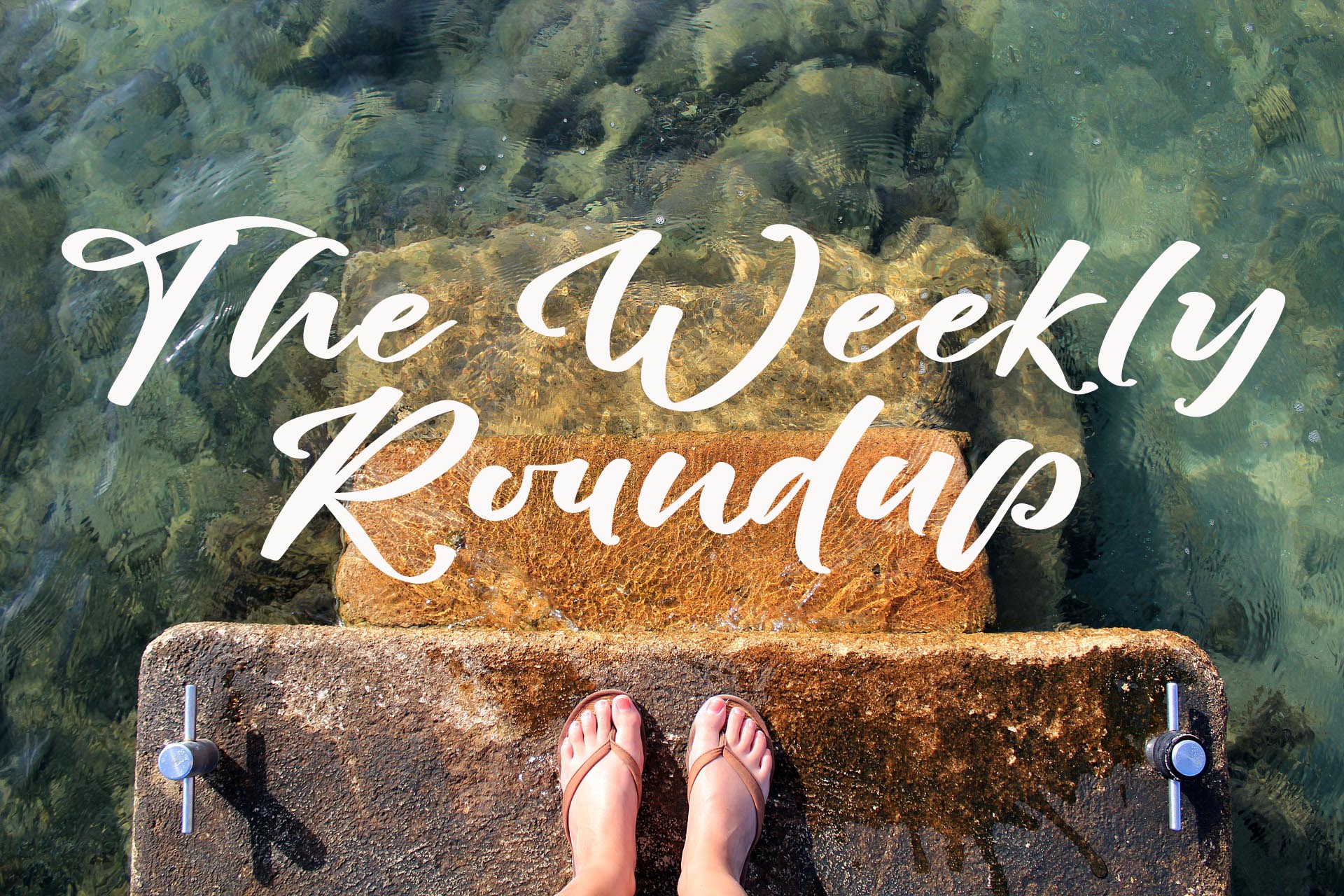 The Weekly Roundup August 22 - 26