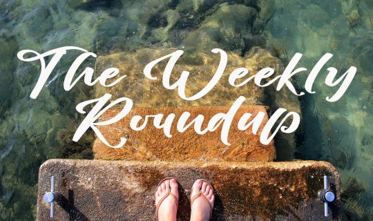 The Weekly Roundup August 22 - 26